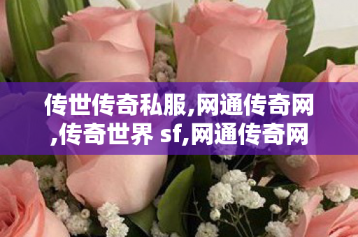 传世传奇私服,网通传奇网,传奇世界 sf,网通传奇网