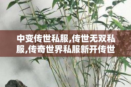 中变传世私服,传世无双私服,传奇世界私服新开传世私服发布网,传世无双私服