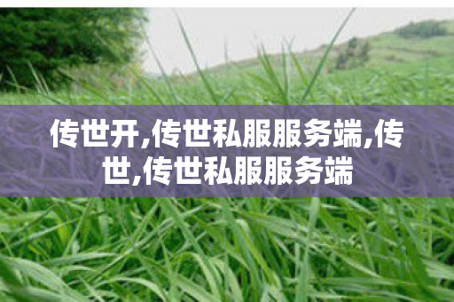 传世开,传世私服服务端,传世,传世私服服务端