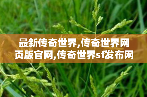 最新传奇世界,传奇世界网页版官网,传奇世界sf发布网站,传奇世界网页版官网