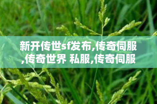 新开传世sf发布,传奇伺服,传奇世界 私服,传奇伺服