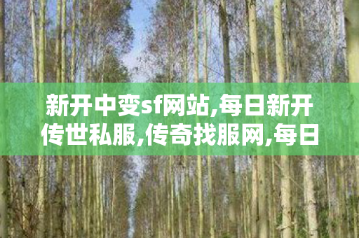 新开中变sf网站,每日新开传世私服,传奇找服网,每日新开传世私服