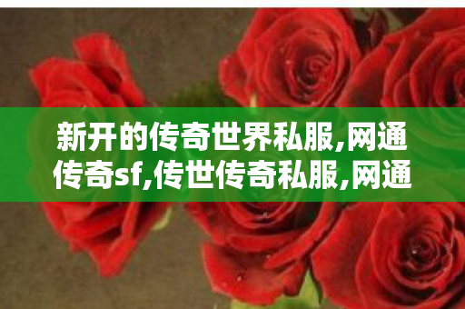 新开的传奇世界私服,网通传奇sf,传世传奇私服,网通传奇sf