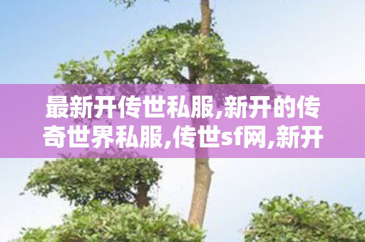 最新开传世私服,新开的传奇世界私服,传世sf网,新开的传奇世界私服