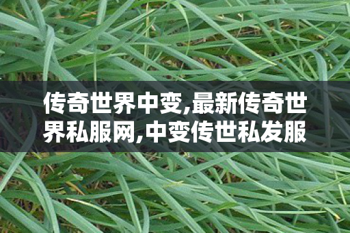 传奇世界中变,最新传奇世界私服网,中变传世私发服网,最新传奇世界私服网