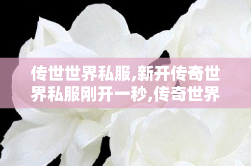 传世世界私服,新开传奇世界私服刚开一秒,传奇世界sf 新开网站,新开传奇世界私服刚开一秒