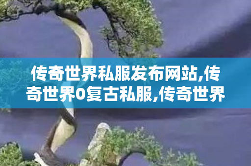 传奇世界私服发布网站,传奇世界0复古私服,传奇世界老版本客户端,传奇世界0复古私服
