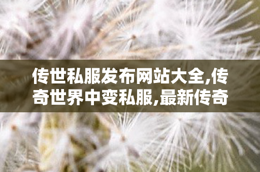 传世私服发布网站大全,传奇世界中变私服,最新传奇发布网站,传奇世界中变私服