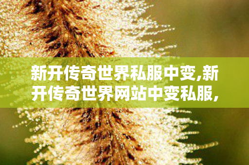 新开传奇世界私服中变,新开传奇世界网站中变私服,新开仿盛大传世私服,新开传奇世界网站中变私服