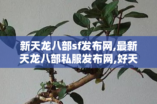 新天龙八部sf发布网,最新天龙八部私服发布网,好天龙sf发布,最新天龙八部私服发布网