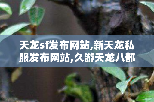 天龙sf发布网站,新天龙私服发布网站,久游天龙八部私服,新天龙私服发布网站