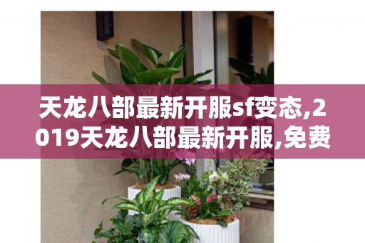 天龙八部最新开服sf变态,2019天龙八部最新开服,免费天龙sf发布网,2019天龙八部最新开服