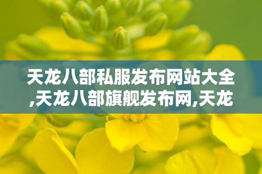 天龙八部私服发布网站大全,天龙八部旗舰发布网,天龙八部国际服私服,天龙八部旗舰发布网