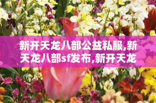 新开天龙八部公益私服,新天龙八部sf发布,新开天龙八部sf开服,新天龙八部sf发布