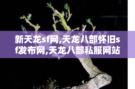 新天龙sf网,天龙八部怀旧sf发布网,天龙八部私服网站多少,天龙八部怀旧sf发布网