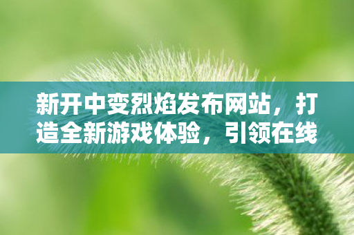 新开中变烈焰发布网站，打造全新游戏体验，引领在线娱乐新风尚
