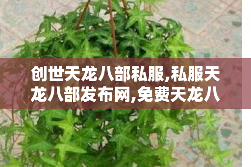 创世天龙八部私服,私服天龙八部发布网,免费天龙八部sf私服,私服天龙八部发布网