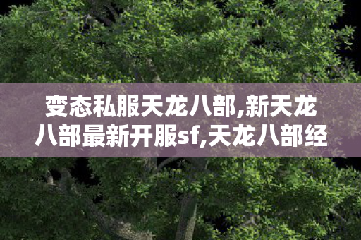 变态私服天龙八部,新天龙八部最新开服sf,天龙八部经典sf,新天龙八部最新开服sf