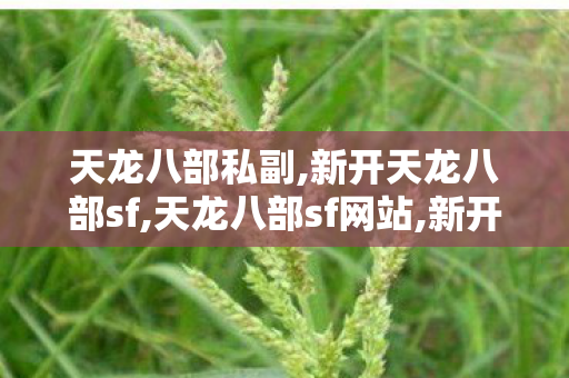 天龙八部私副,新开天龙八部sf,天龙八部sf网站,新开天龙八部sf