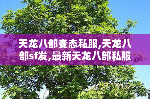 天龙八部变态私服,天龙八部sf发,最新天龙八部私服发布,天龙八部sf发