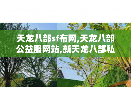 天龙八部sf布网,天龙八部公益服网站,新天龙八部私服发布网,天龙八部公益服网站
