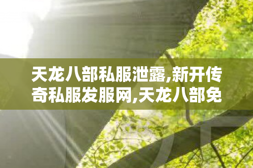 天龙八部私服泄露,新开传奇私服发服网,天龙八部免费私服,新开传奇私服发服网