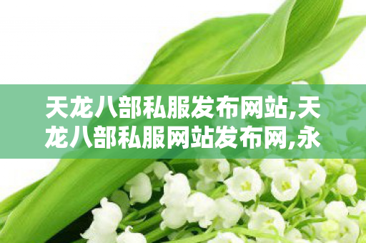 天龙八部私服发布网站,天龙八部私服网站发布网,永恒天龙,天龙八部私服网站发布网