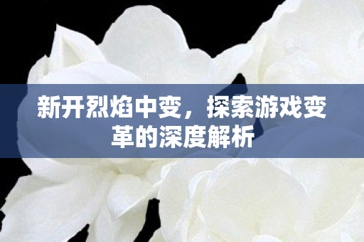 新开烈焰中变，探索游戏变革的深度解析