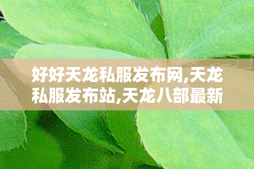 好好天龙私服发布网,天龙私服发布站,天龙八部最新变态服,天龙私服发布站