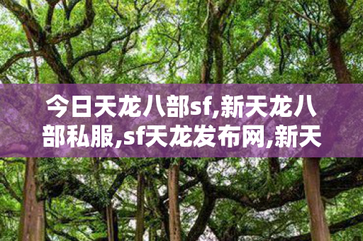 今日天龙八部sf,新天龙八部私服,sf天龙发布网,新天龙八部私服