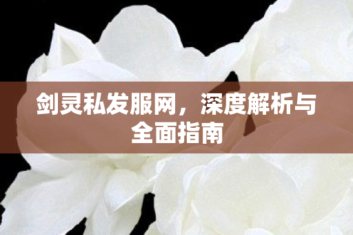 剑灵私发服网，深度解析与全面指南