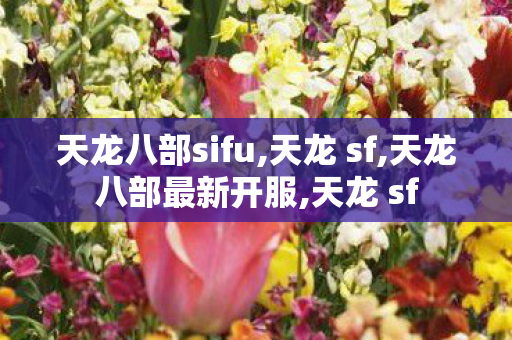 天龙八部sifu,天龙 sf,天龙八部最新开服,天龙 sf