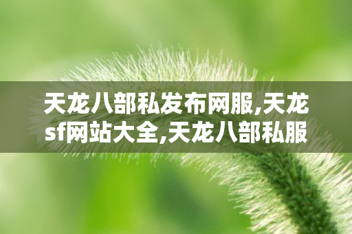 天龙八部私发布网服,天龙sf网站大全,天龙八部私服官网,天龙sf网站大全