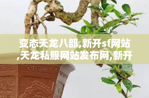 变态天龙八部,新开sf网站,天龙私服网站发布网,新开sf网站