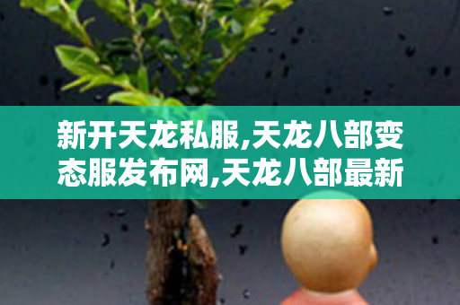 新开天龙私服,天龙八部变态服发布网,天龙八部最新开服 sf,天龙八部变态服发布网