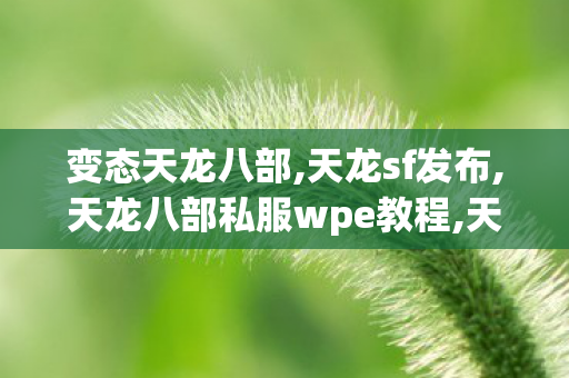 变态天龙八部,天龙sf发布,天龙八部私服wpe教程,天龙sf发布