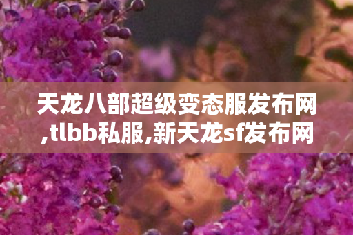 天龙八部超级变态服发布网,tlbb私服,新天龙sf发布网,tlbb私服