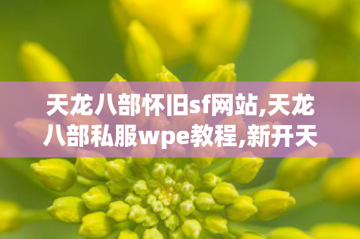 天龙八部怀旧sf网站,天龙八部私服wpe教程,新开天龙八部私服发布,天龙八部私服wpe教程