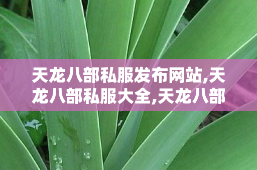 天龙八部私服发布网站,天龙八部私服大全,天龙八部旗舰发布网,天龙八部私服大全