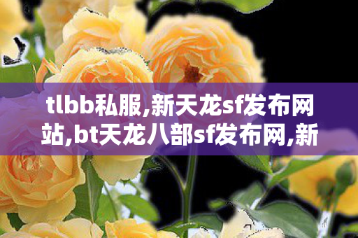 tlbb私服,新天龙sf发布网站,bt天龙八部sf发布网,新天龙sf发布网站