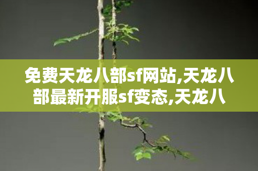 免费天龙八部sf网站,天龙八部最新开服sf变态,天龙八部私服开服表,天龙八部最新开服sf变态
