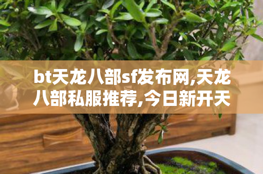 bt天龙八部sf发布网,天龙八部私服推荐,今日新开天龙八部私服,天龙八部私服推荐