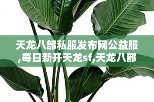 天龙八部私服发布网公益服,每日新开天龙sf,天龙八部最新sf开服表,每日新开天龙sf