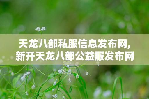 天龙八部私服信息发布网,新开天龙八部公益服发布网,天龙八部公益服发布网,新开天龙八部公益服发布网