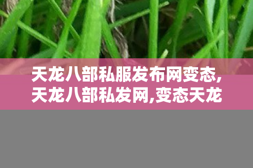 天龙八部私服发布网变态,天龙八部私发网,变态天龙八部发布网,天龙八部私发网