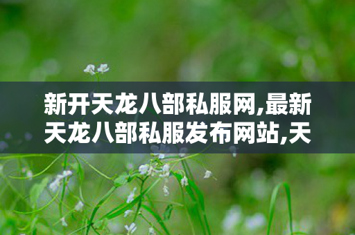 新开天龙八部私服网,最新天龙八部私服发布网站,天龙八部新开私服,最新天龙八部私服发布网站