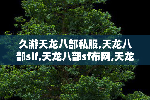 久游天龙八部私服,天龙八部sif,天龙八部sf布网,天龙八部sif
