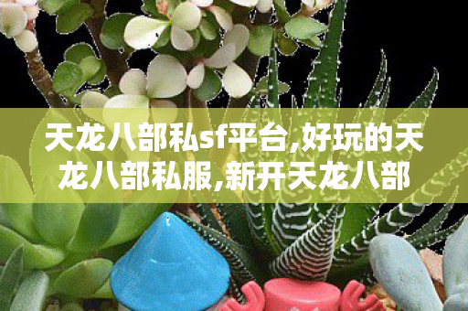天龙八部私sf平台,好玩的天龙八部私服,新开天龙八部,好玩的天龙八部私服