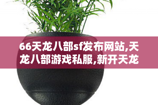 66天龙八部sf发布网站,天龙八部游戏私服,新开天龙sf发布网站,天龙八部游戏私服