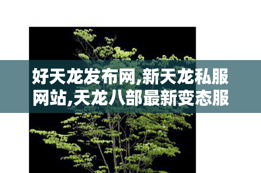 好天龙发布网,新天龙私服网站,天龙八部最新变态服,新天龙私服网站